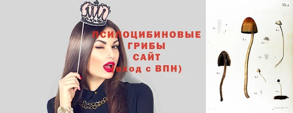 прущий лед Инсар