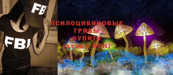 ГАЛЛЮЦИНОГЕННЫЕ ГРИБЫ Иннополис