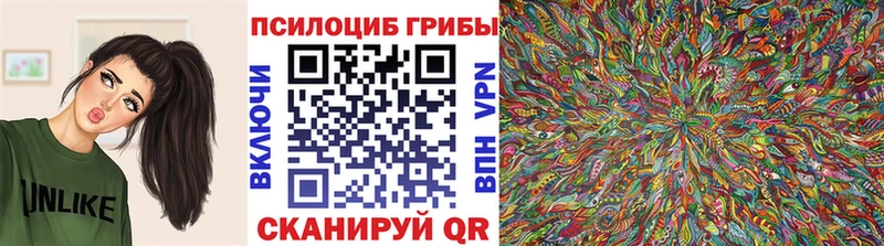 Галлюциногенные грибы Magic Shrooms Катав-Ивановск